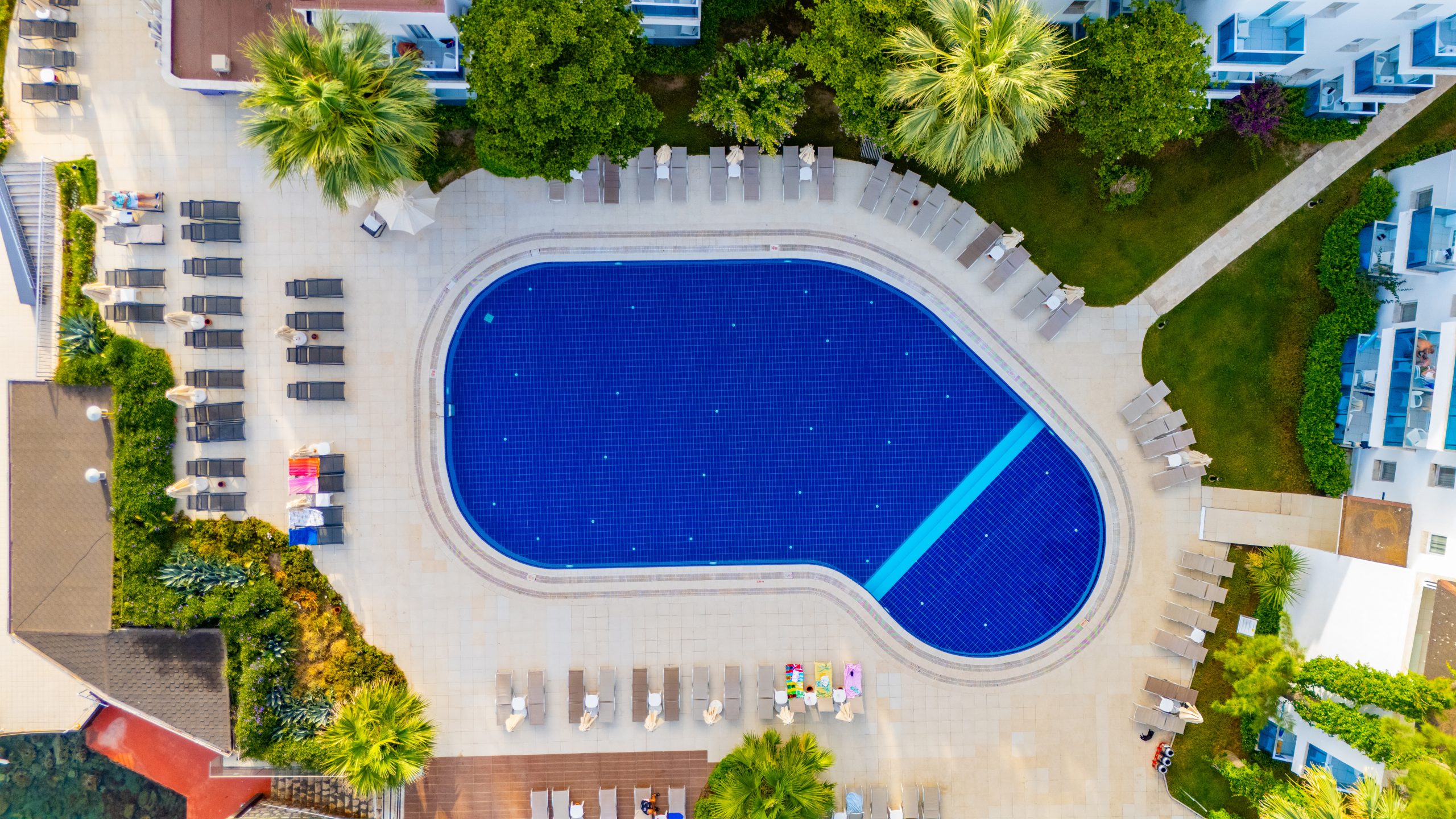 Festival Hotels Resort & SPA